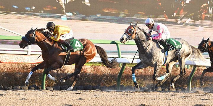 カペラSを制したダンシングプリンス（左）と2着リュウノユキナ＝2021年12月12日、中山競馬場