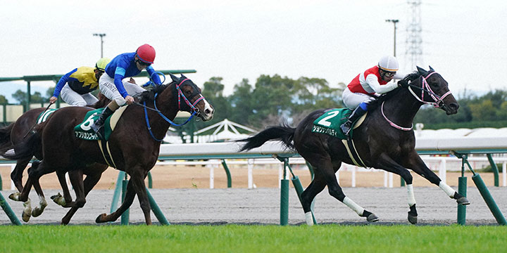 中日新聞杯を制したショウナンバルディと岩田康誠騎手＝2021年12月11日、中京競馬場