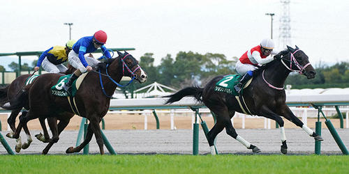 中日新聞杯を制したショウナンバルディと岩田康誠騎手=2021年12月11日、中京競馬場