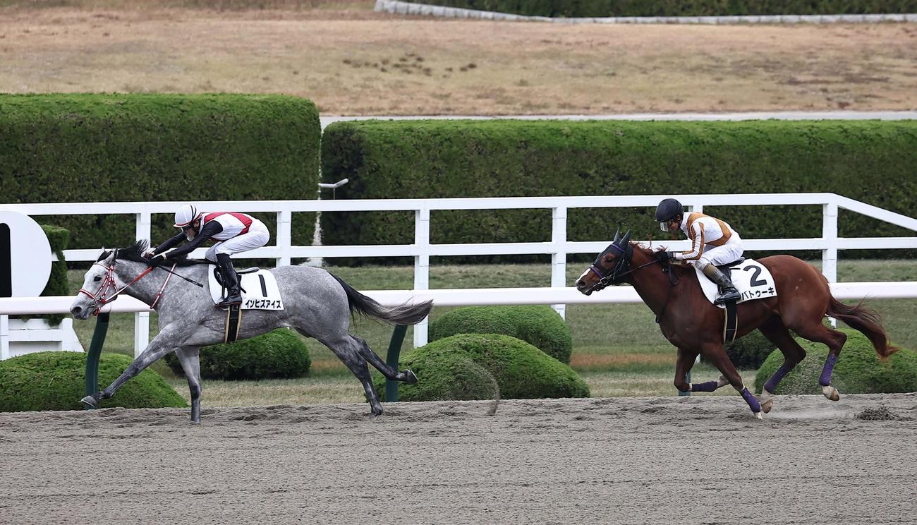 直線で逃げ切り新馬戦を制したインヒズアイズ（撮影・上田博志）
