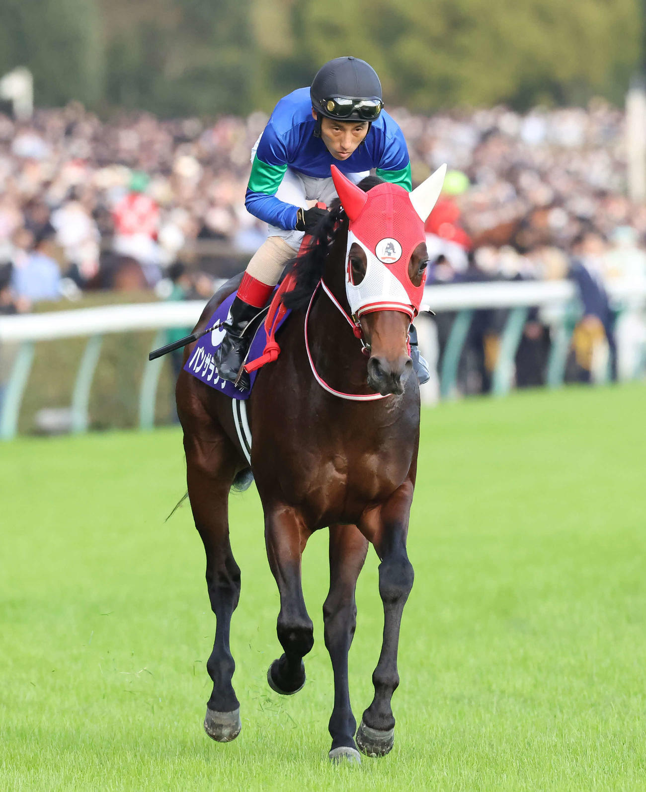 10月30日、天皇賞・秋に出走したパンサラッサと吉田豊騎手
