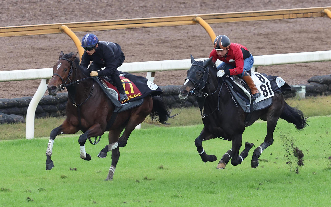 11月30日、川田騎手を背に芝コースを併せ馬で追い切るリバティアイランド（左）