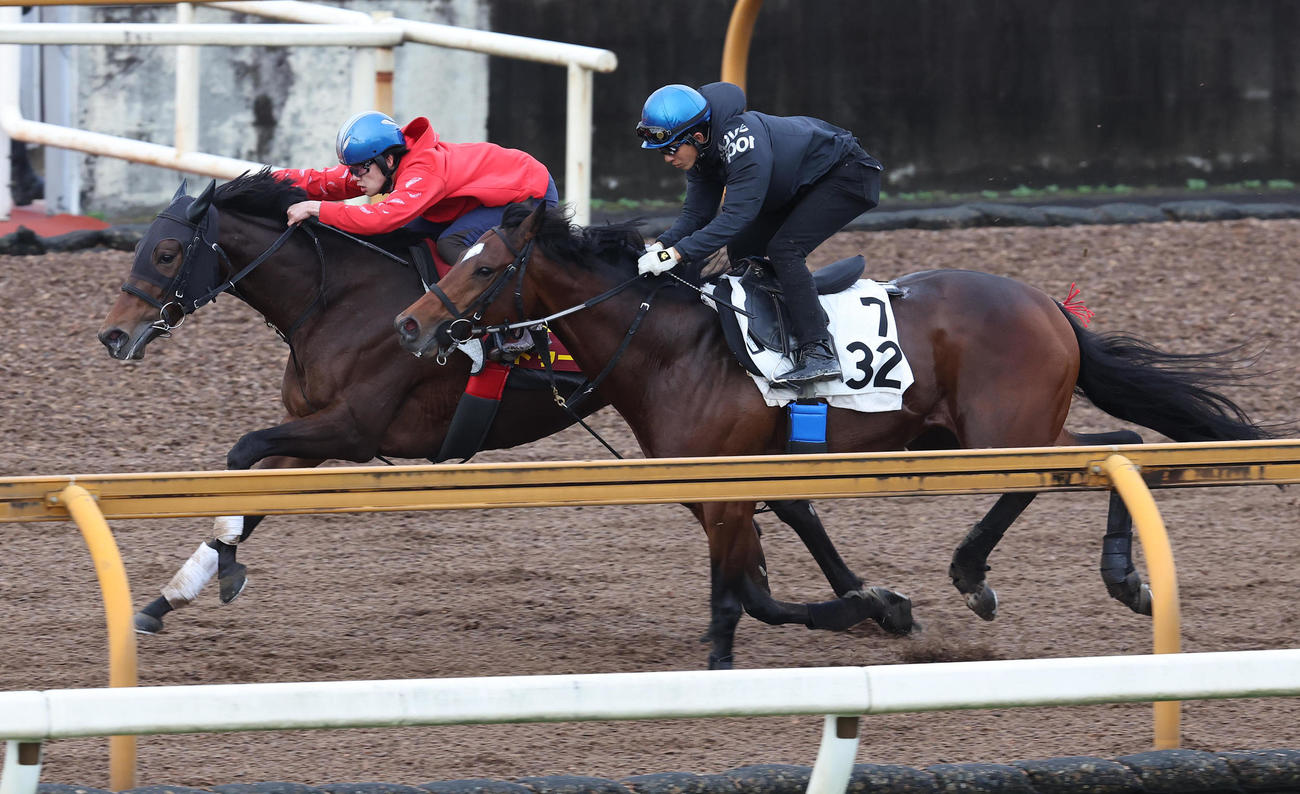 11月30日、斎藤騎手を背にCウッドをサウンドウォリアー（右）と併せ馬で追い切るドゥーラ