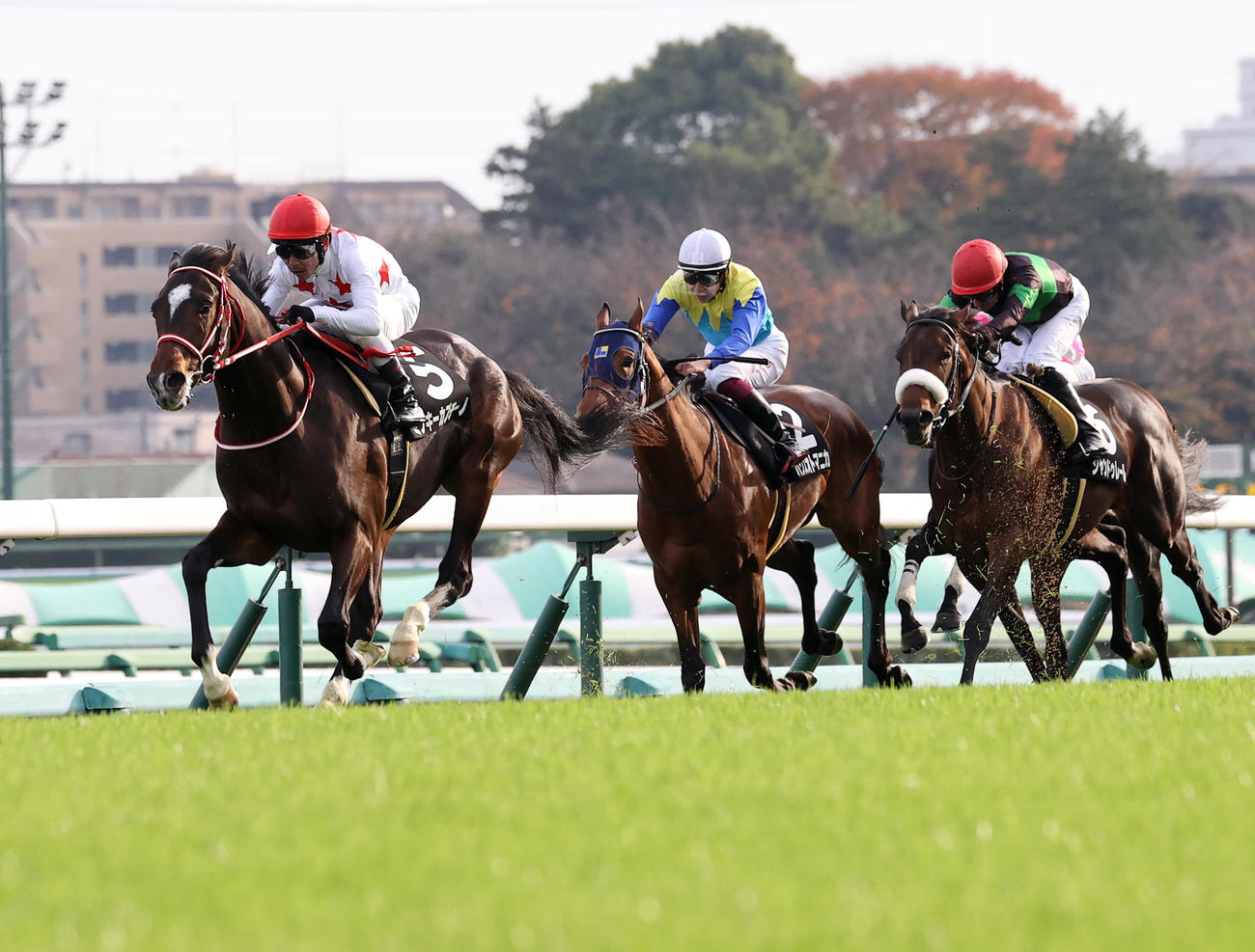 葉牡丹賞を制したミッキーカプチーノ（左）（22年12月3日撮影）