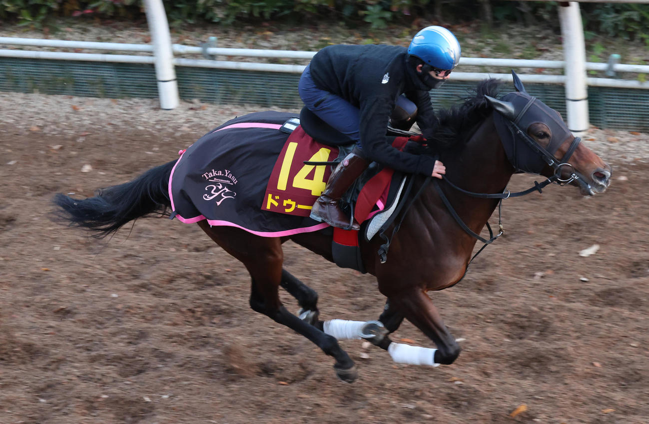 斉藤新騎手を背に坂路で追い切るドゥーラ
