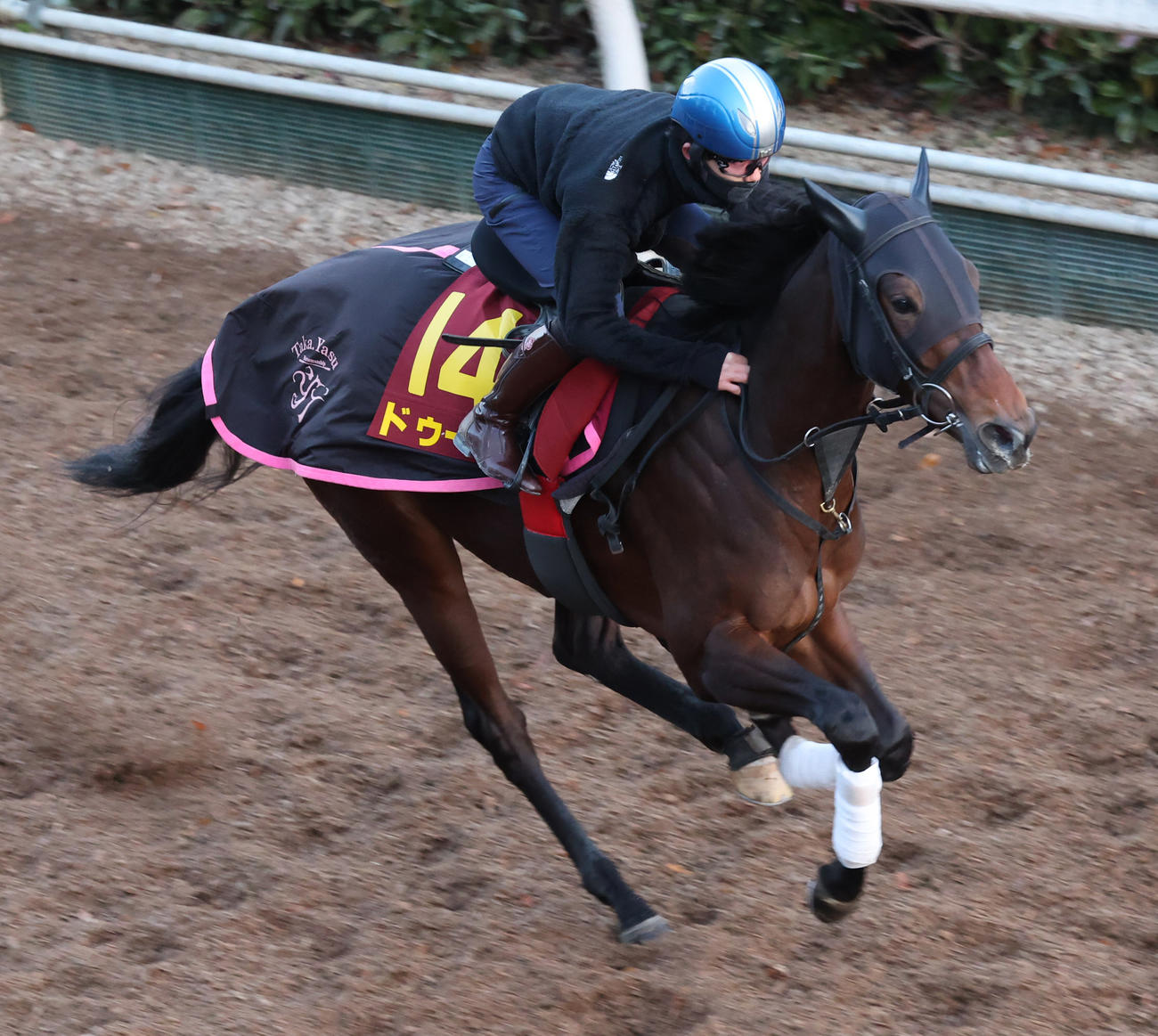 斉藤新騎手を背に坂路で追い切るドゥーラ