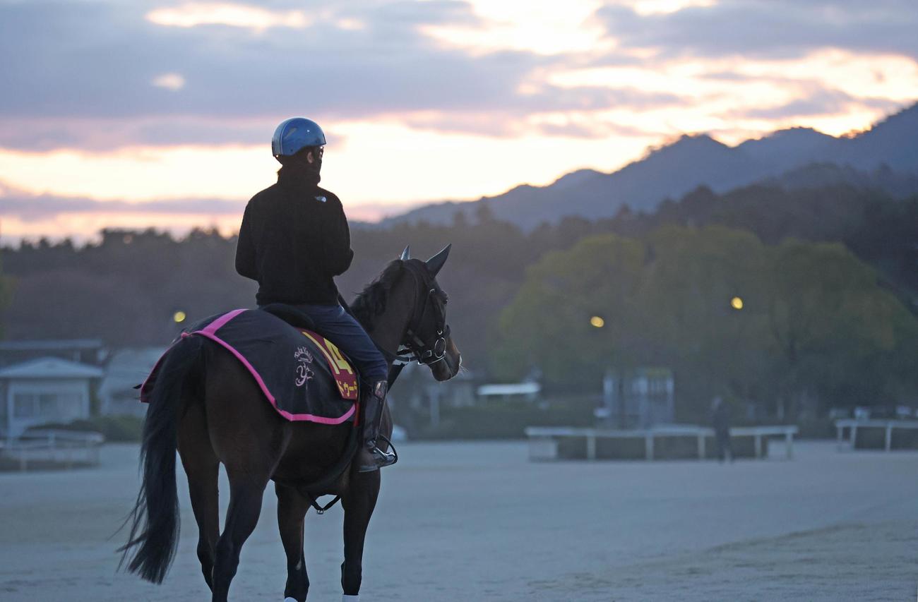 ドゥーラは斎藤新騎手を背に馬場へ向かう