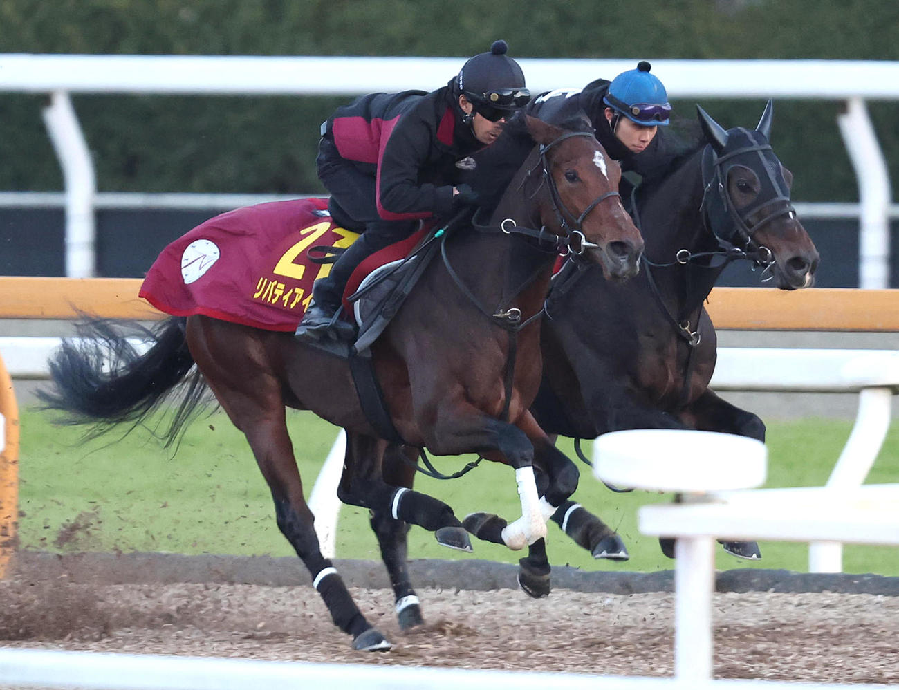 Cウッドをアラジンバローズ（右）と併せ馬で追い切るリバティアイランド（撮影・白石智彦）