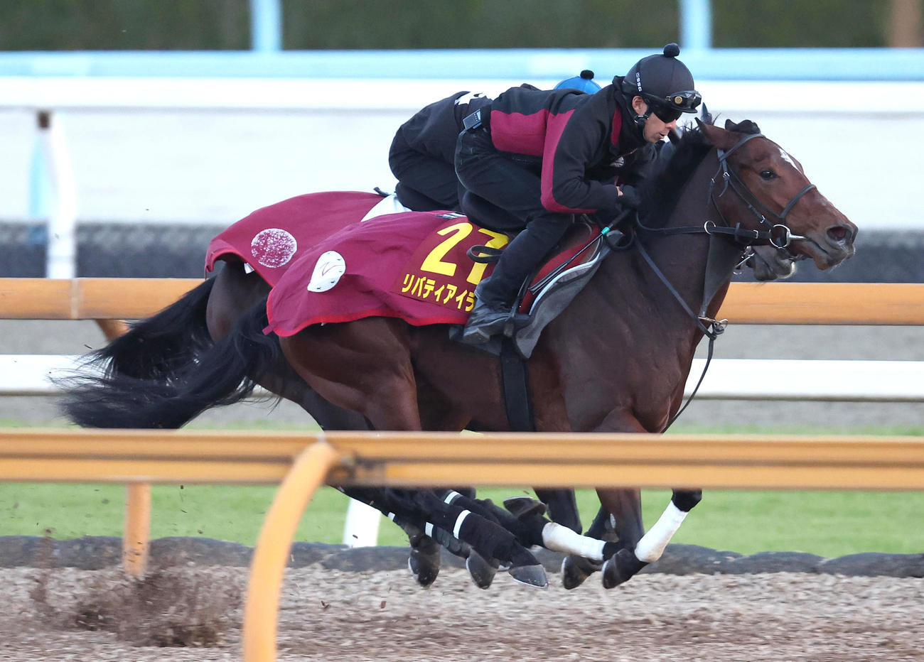 Cウッドをアラジンバローズ（奥）と併せ馬で追い切るリバティアイランド（撮影・白石智彦）