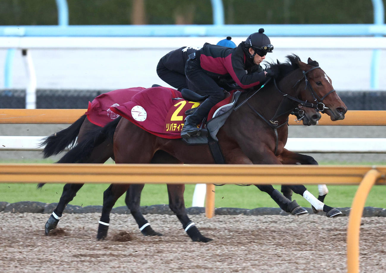 Cウッドをアラジンバローズ（奥）と併せ馬で追い切るリバティアイランド（撮影・白石智彦）