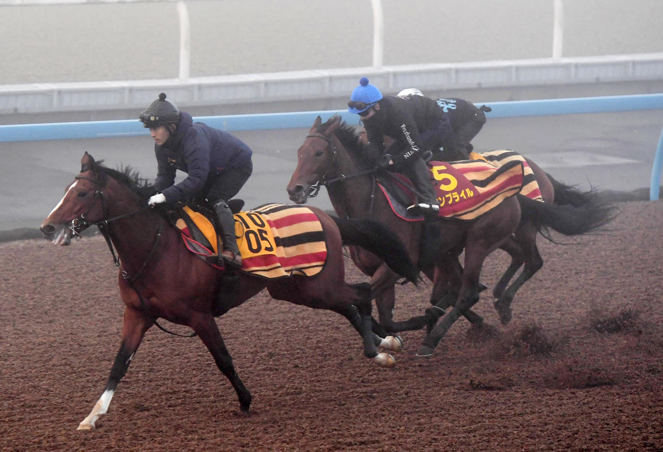 ウンブライル（中央）は3頭併せで追い切る（撮影・柴田隆二）