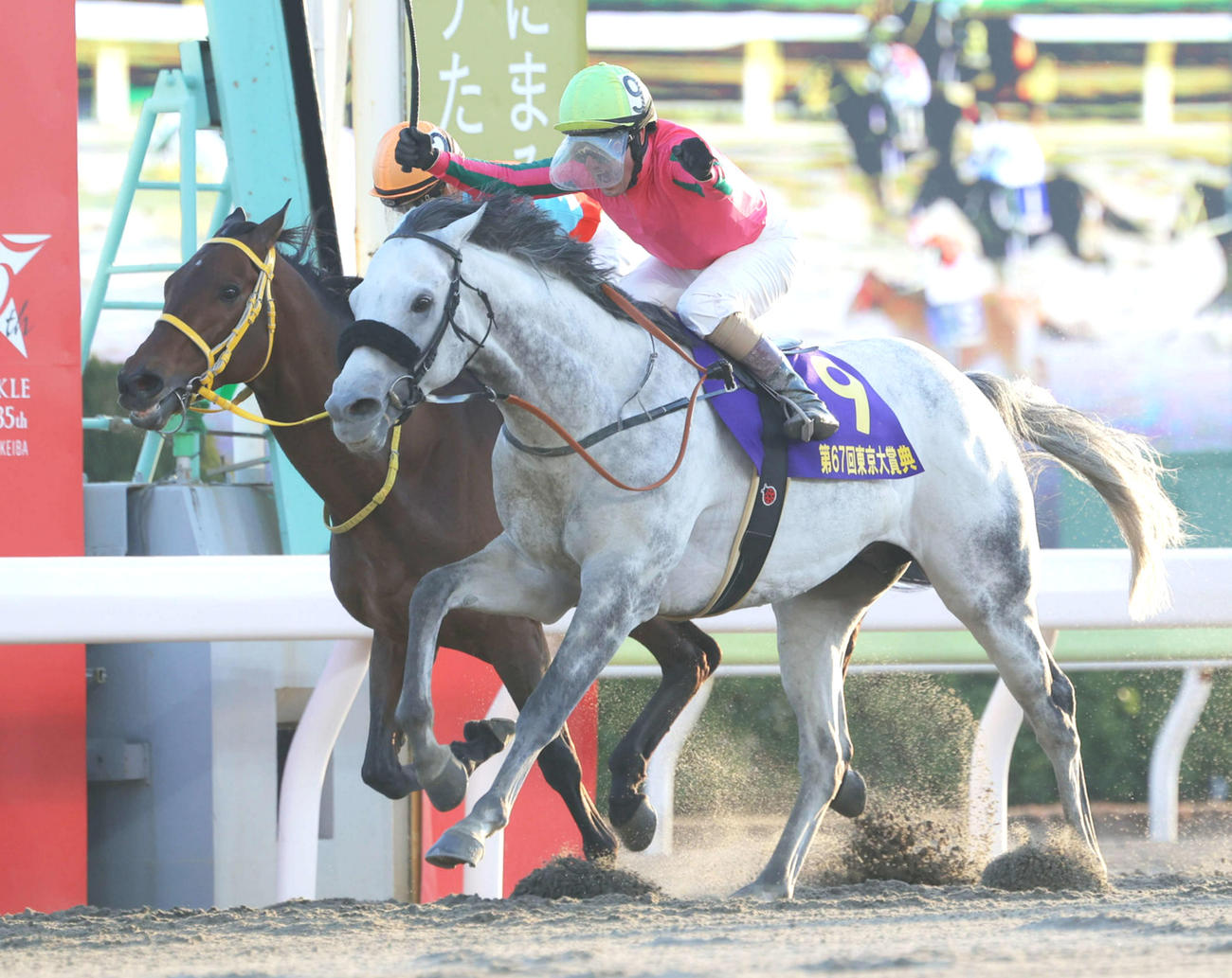 2021年12月29日、東京大賞典でクリンチャー（左）との競り合いを制したオメガパフューム