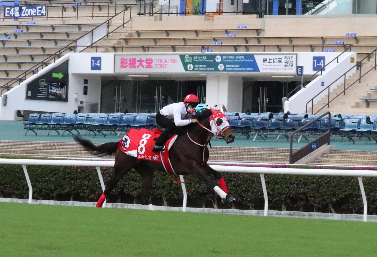 シャティン芝で追い切るパンサラッサ