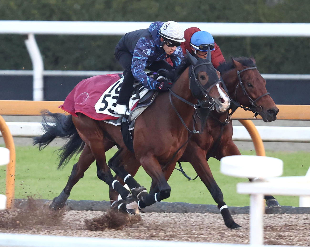 藤岡佑騎手を背にプログノーシス（左）はCウッドでブルースピリットと併せて追い切る（撮影・白石智彦）