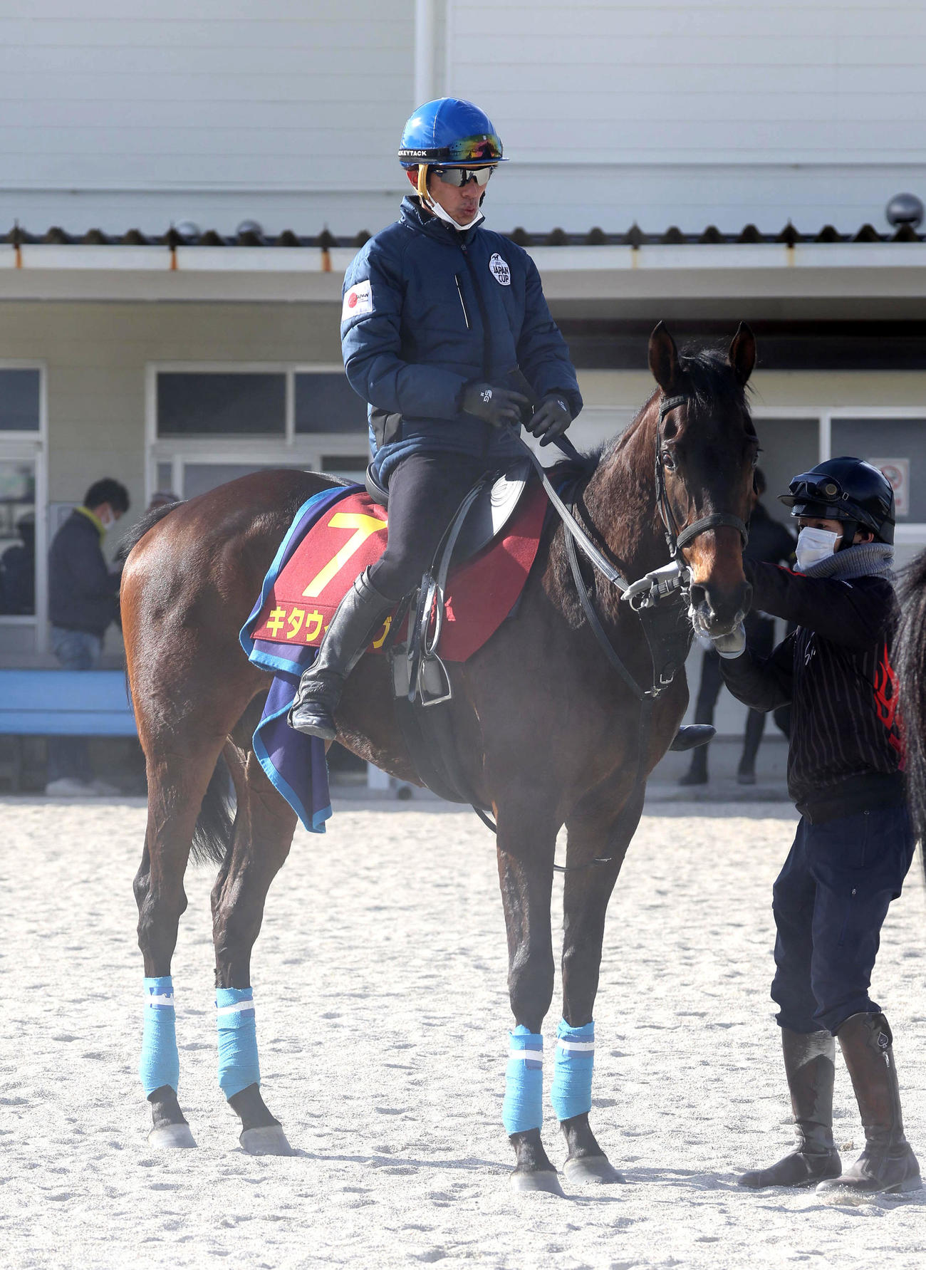和田竜騎手を背に調教から引き揚げるキタウイング（撮影・白石智彦）