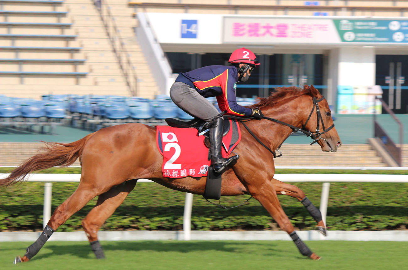 芝コースで追い切りを行ったジオグリフ（撮影・木南友輔）