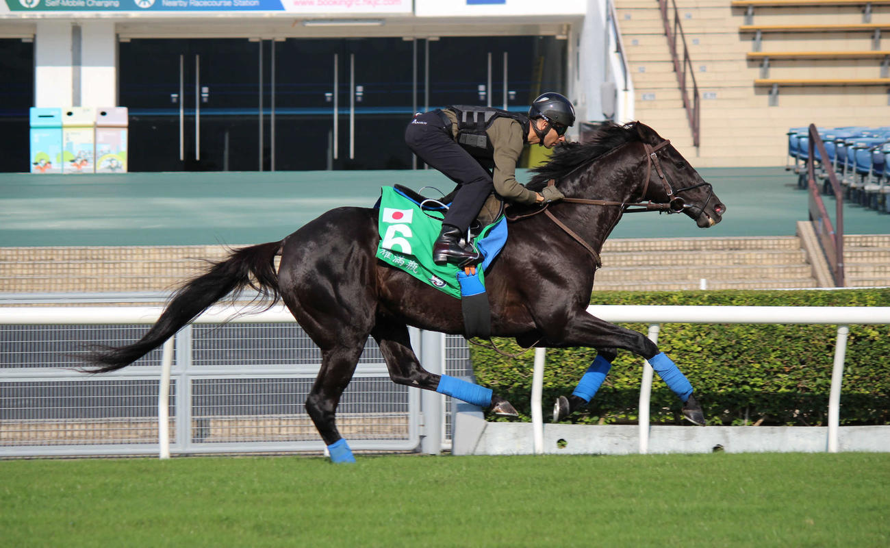 芝コースで追い切ったグローリーヴェイズとモレイラ騎手（撮影・木南友輔）