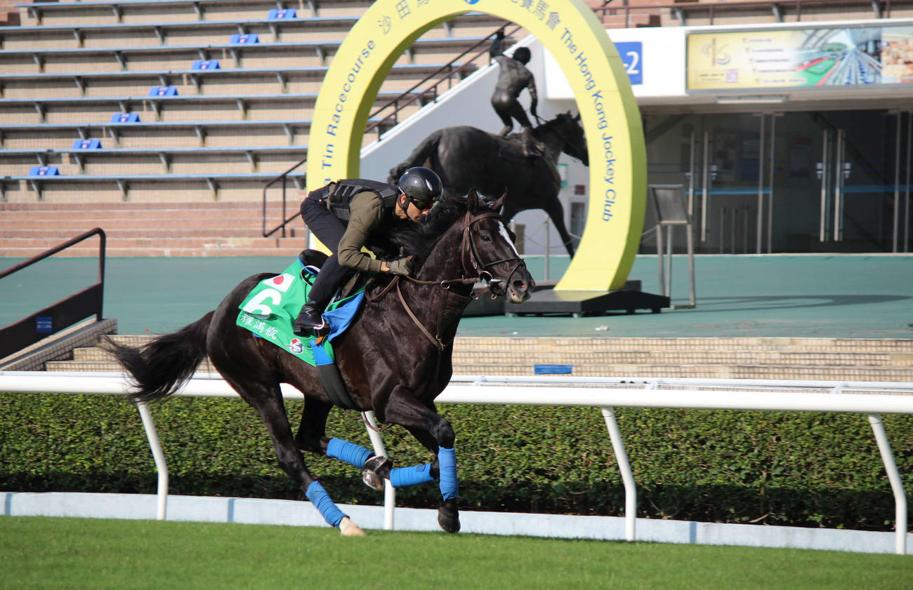 芝コースで追い切ったグローリーヴェイズとモレイラ騎手（撮影・木南友輔）