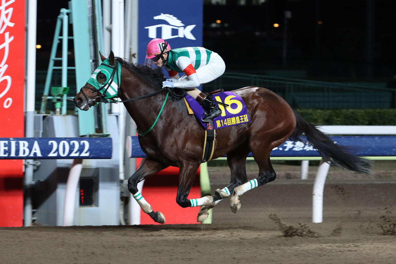 勝島王冠を制したライトウォーリアと矢野貴之騎手