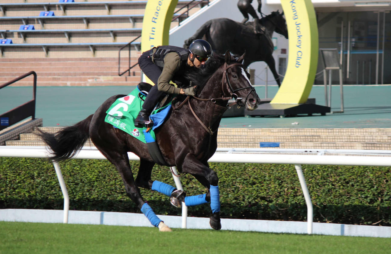 芝コースで追い切ったグローリーヴェイズとモレイラ騎手