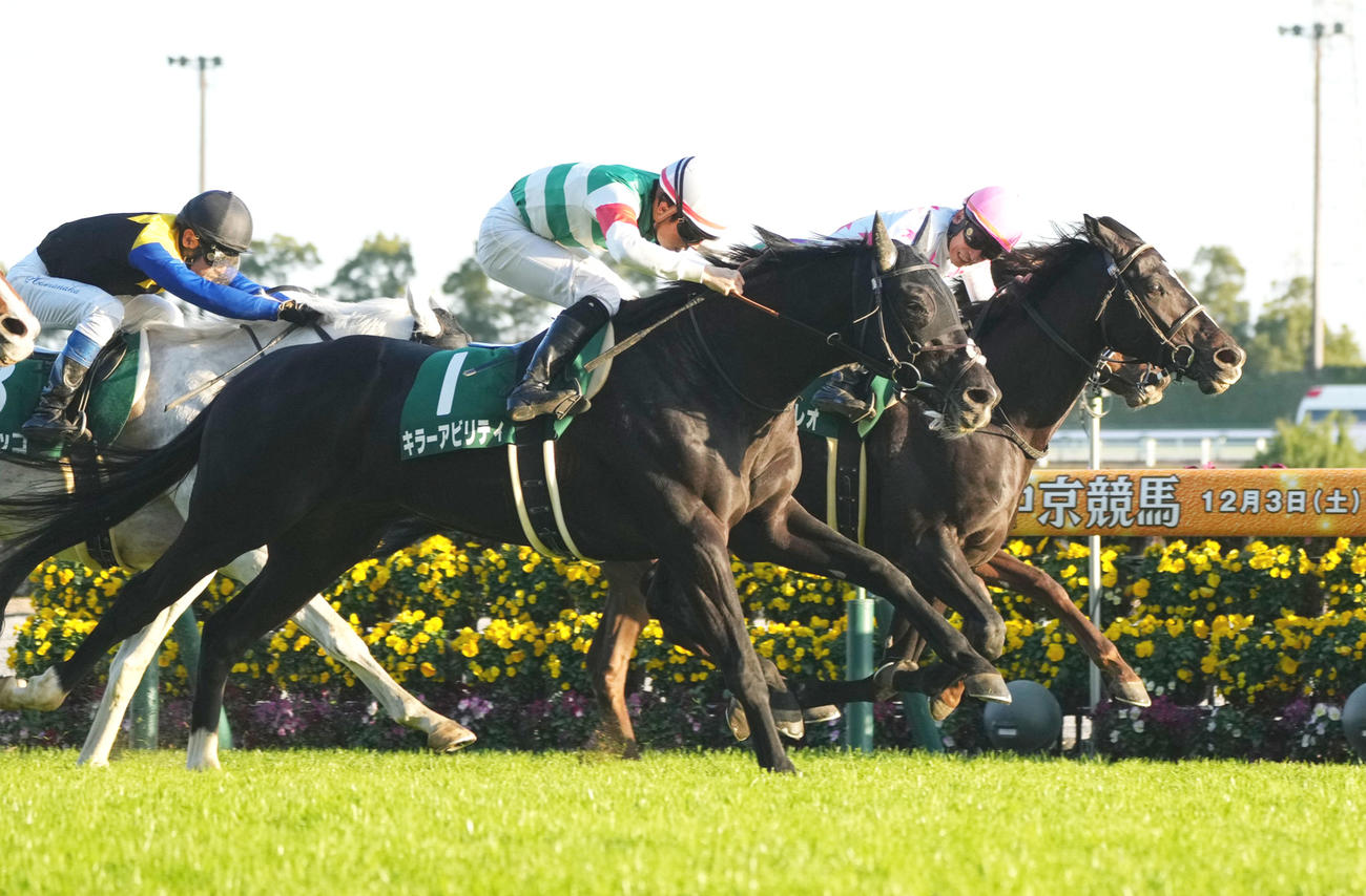 ゴール前で鮮やかに差し切り中日新聞杯を制したキラーアビリティ（手前）（撮影・森本幸一）