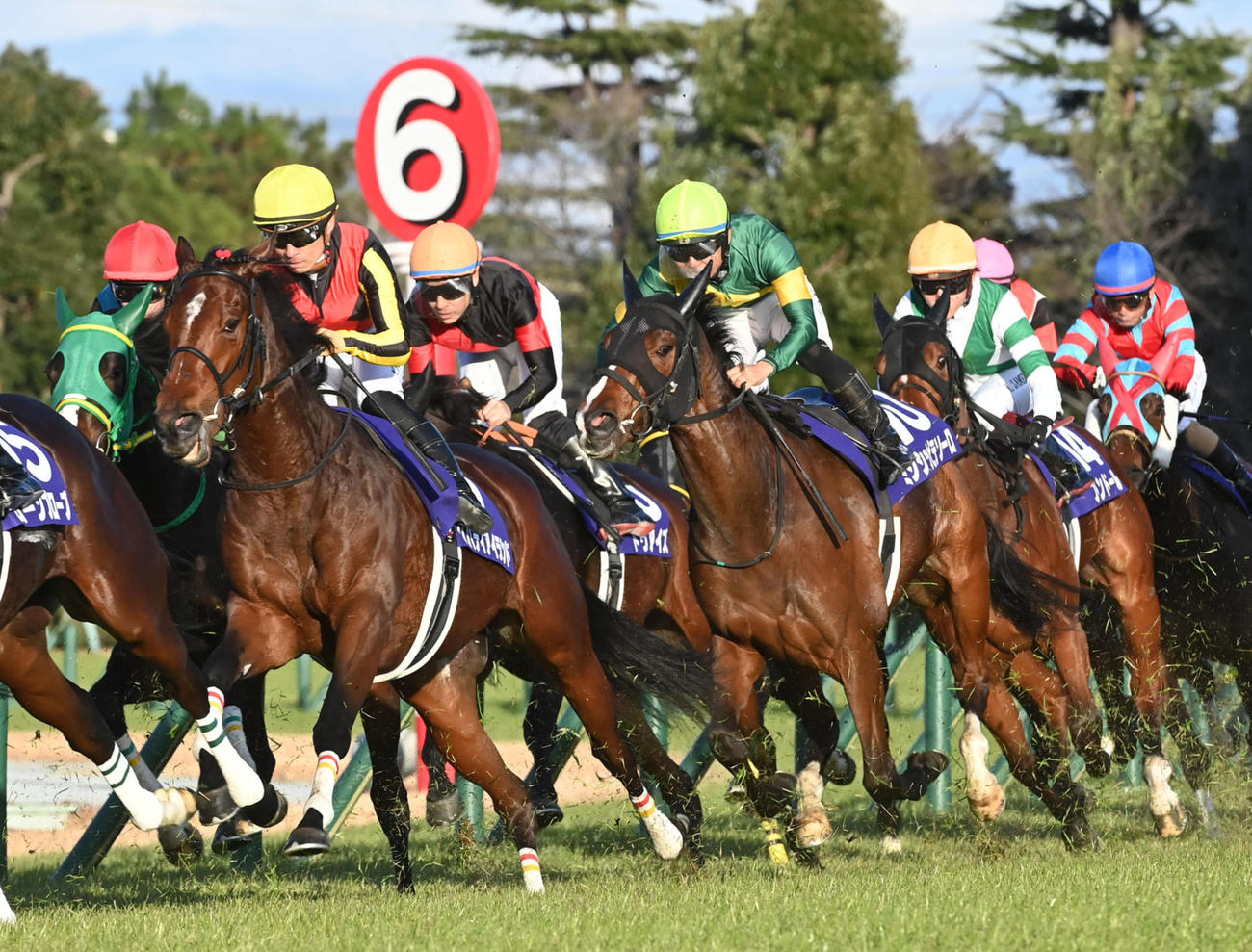 4コーナーを回るリバティアイランド（左から2頭目）（撮影・前岡正明）