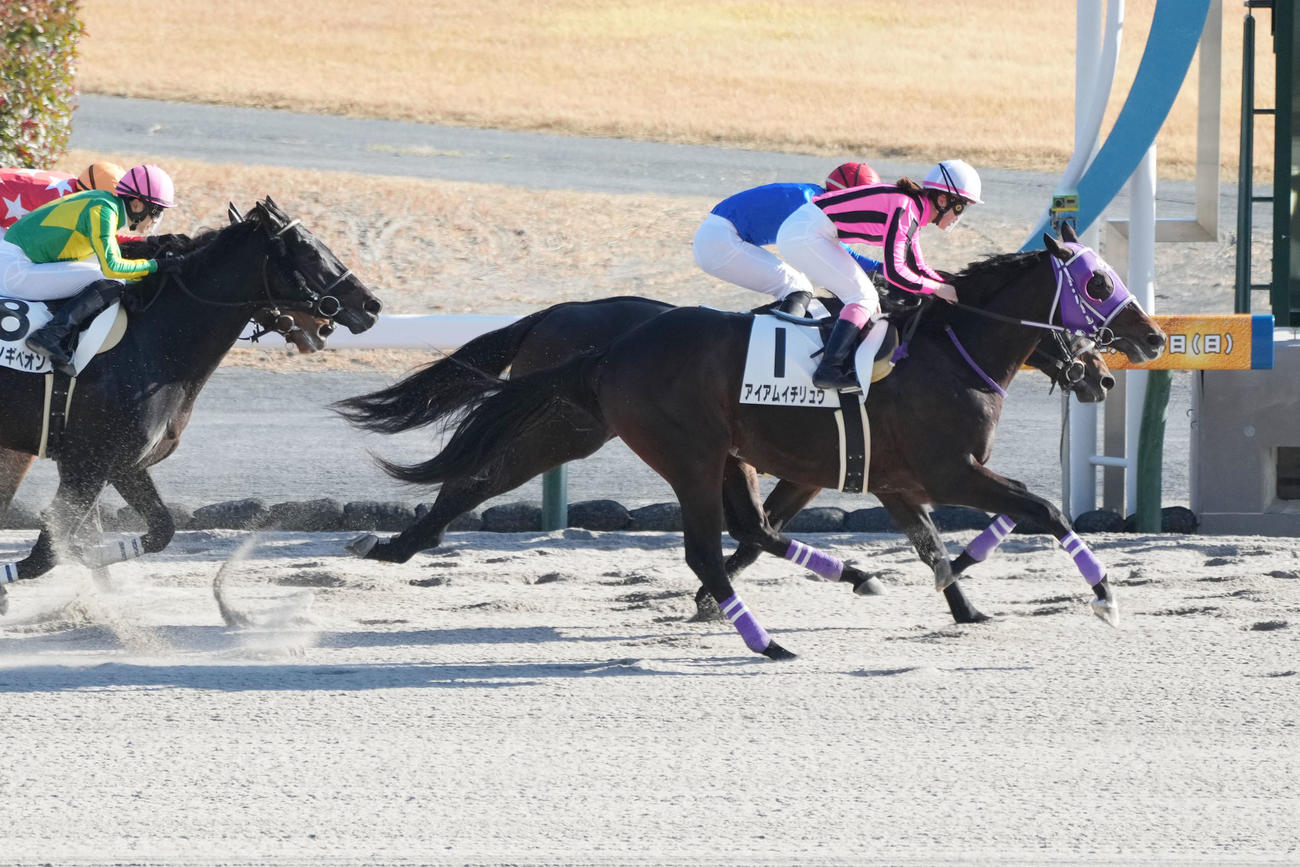 中京8R、アイアムイチリュウで勝利する永島まなみ（手前）（撮影・森本幸一）