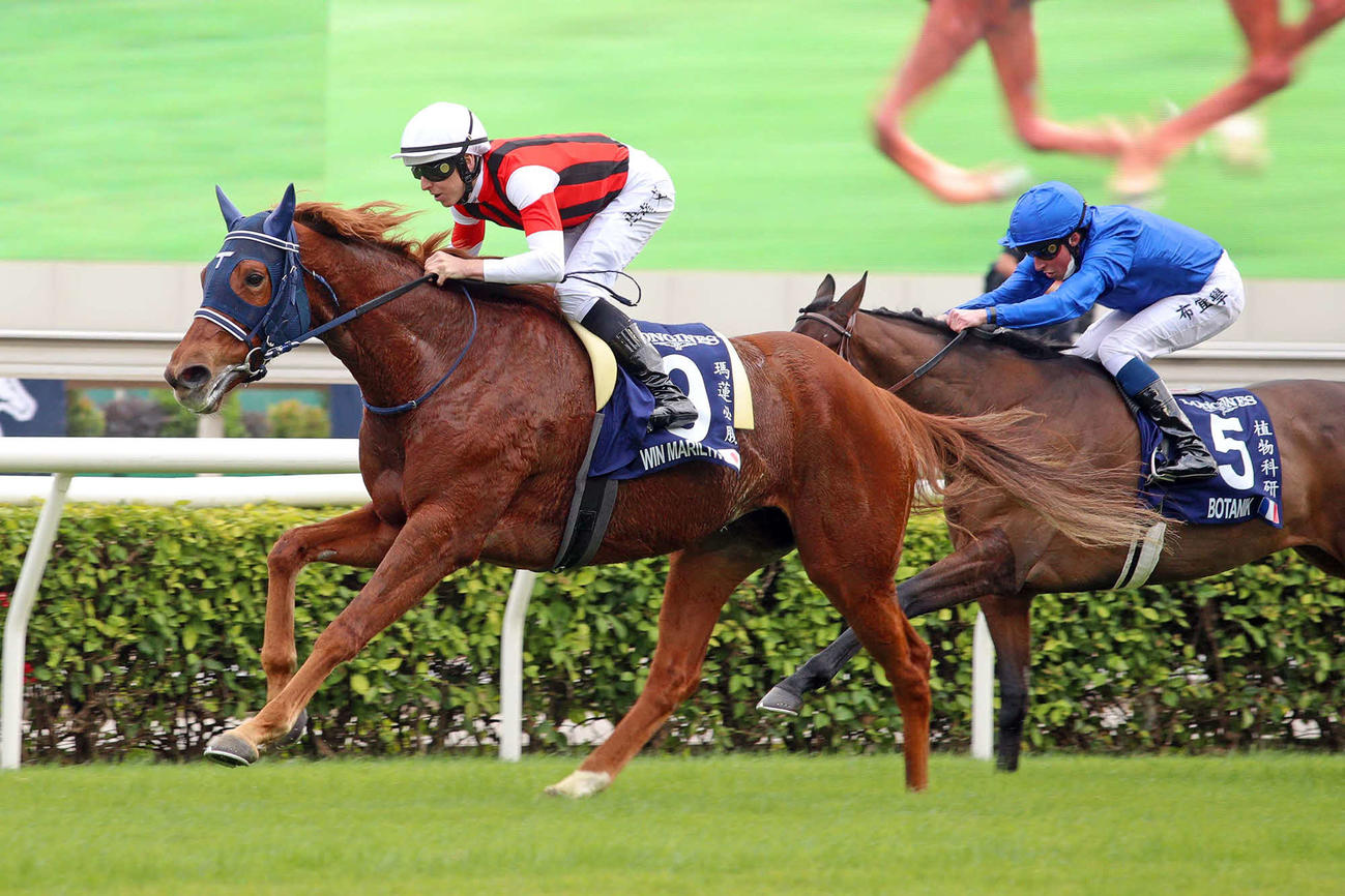 香港ヴァーズを制したウインマリリン（C）The Hong Kong Jockey Club