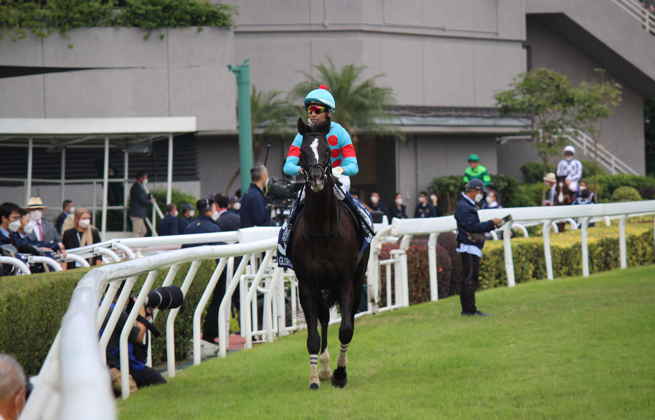 ラストランの香港ヴァーズを3着で終えたグローリーヴェイズ（撮影・木南友輔）