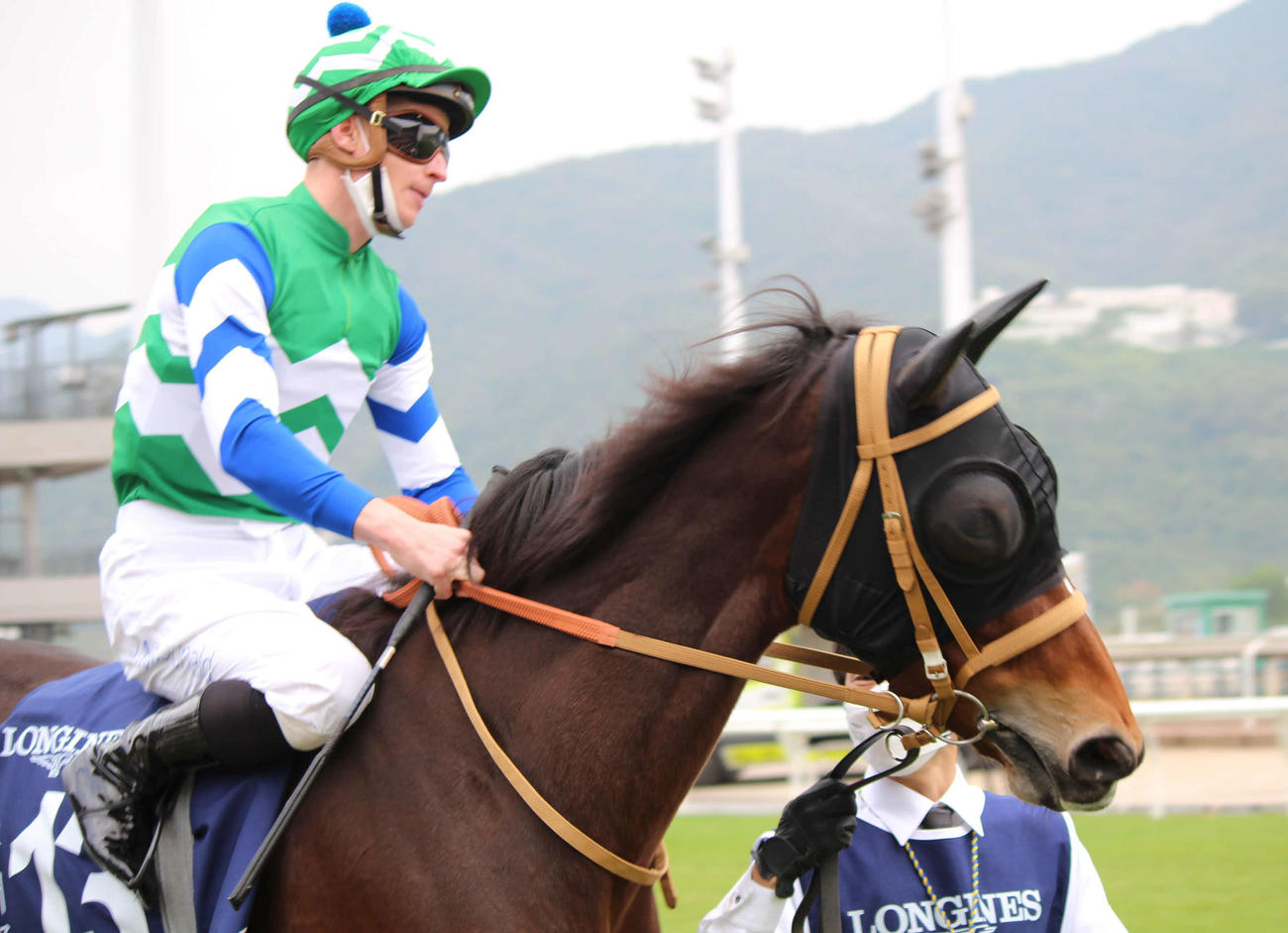 香港スプリントで日本馬最先着の5着に入ったメイケイエール（撮影・木南友輔）