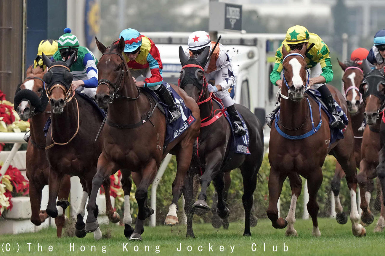 香港スプリントで日本馬最先着となった5着メイケイエール（左から2頭目）