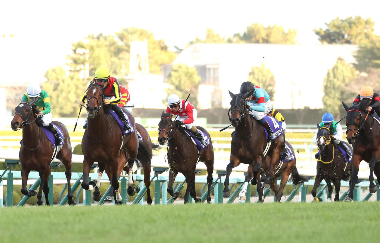 リバティアイランド（左から2頭目）が直線突き抜けて阪神JFを快勝した（撮影・白石智彦）