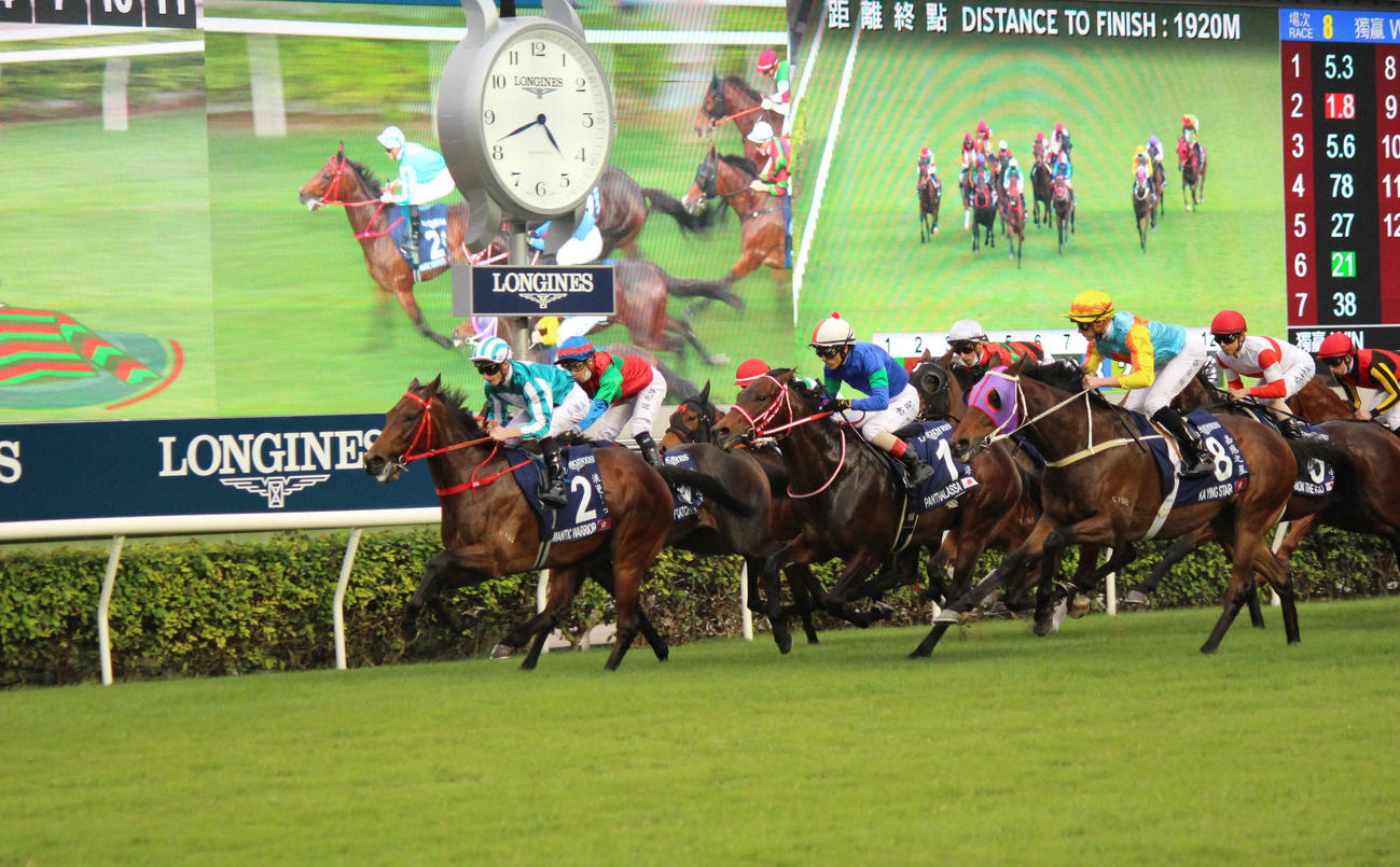 香港カップの1周目ゴール前、青い勝負服パンサラッサが先頭をうかがう（撮影・木南友輔）