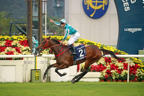 香港C】ロマンチックウォリアーV 鞍上「あんなに勝つとは」日本勢5