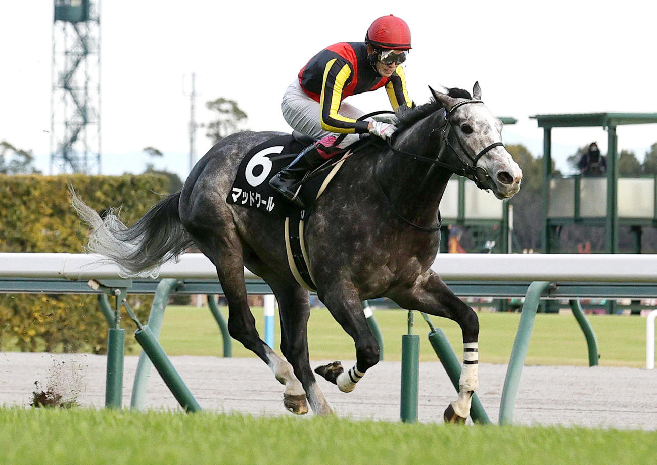 11R、知立Sを制したマッドクール（撮影・上山淳一）