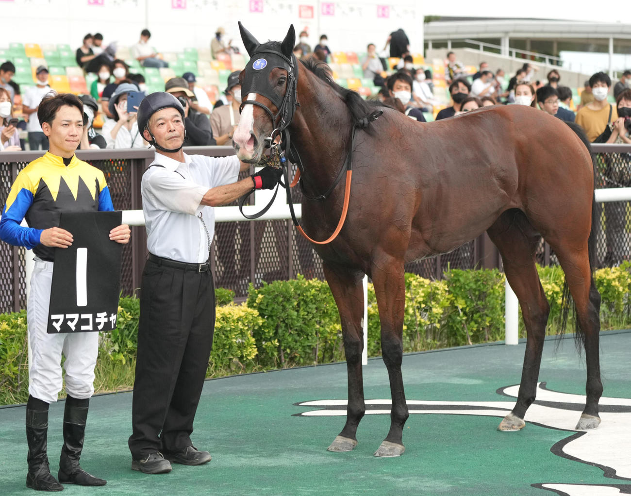 9月18日、納屋橋Sを制したママコチャと松山弘平騎手