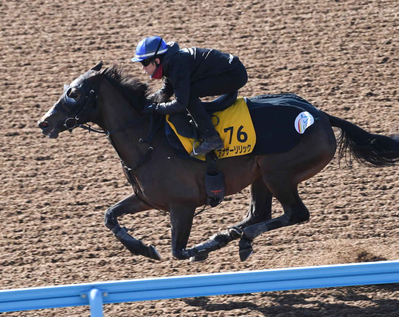ウッドチップで追い切るアナザーリリック（撮影・柴田隆二）
