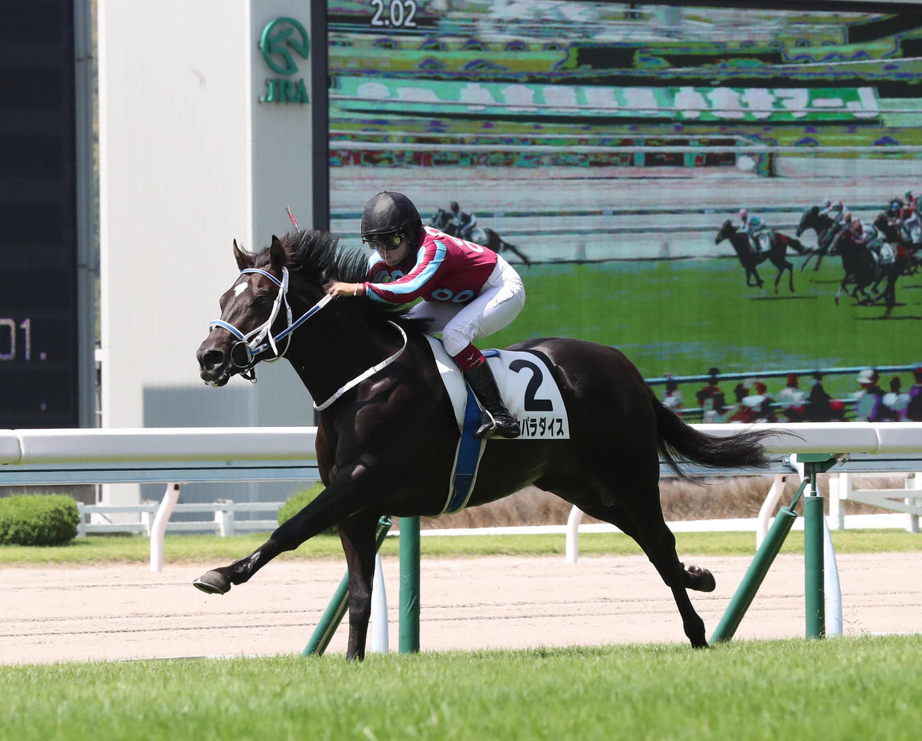 直線抜け出し新馬戦を制したスカパラダイスと今村聖奈騎手（2022年8月27日撮影）