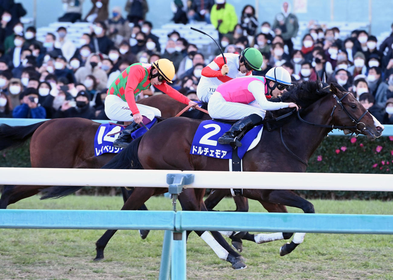 直線抜け出し朝日杯FSを制したドルチェモア（撮影・前岡正明）