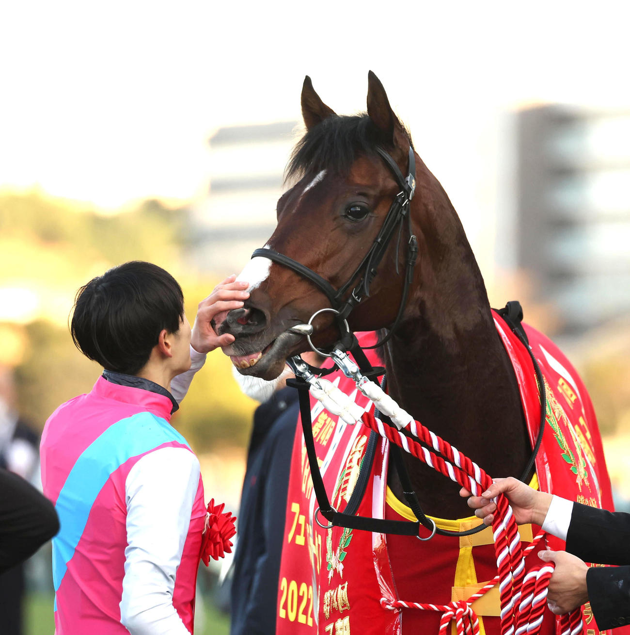朝日杯FSを制したドルチェモアの鼻をなでてえねぎらう坂井騎手（撮影・白石智彦）