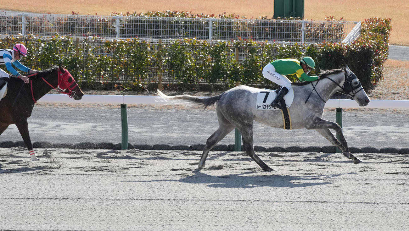 中京2R　ムルザバエフ騎乗のルーパステソーロが1着（撮影・森本幸一）