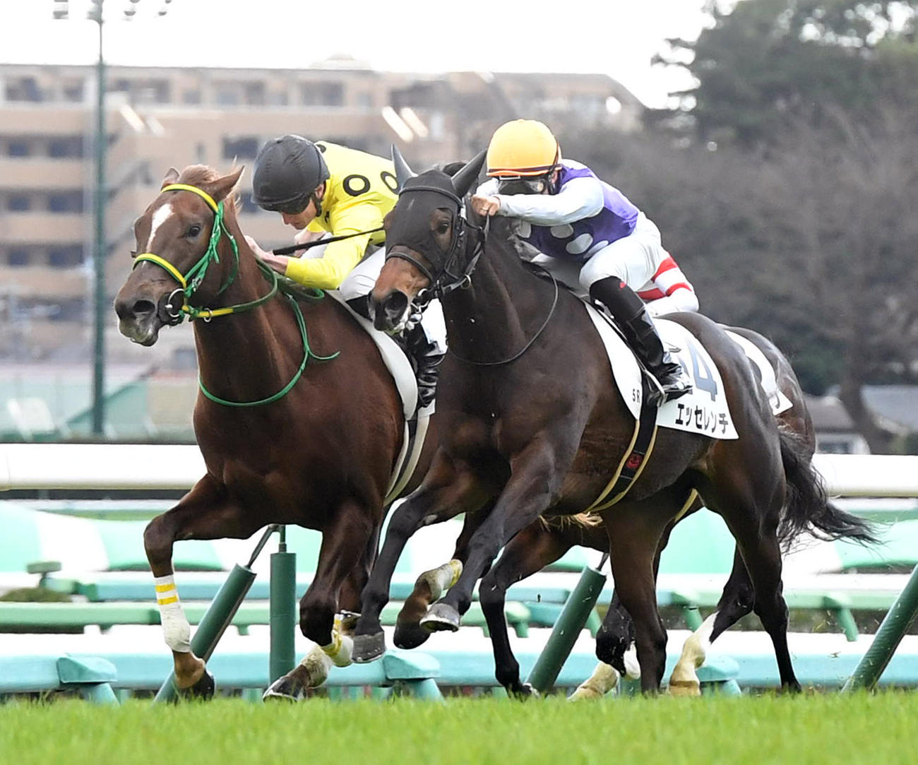 中山5R新馬戦を制したトゥルース（左）、2着エッセレンチ（撮影・柴田隆二）