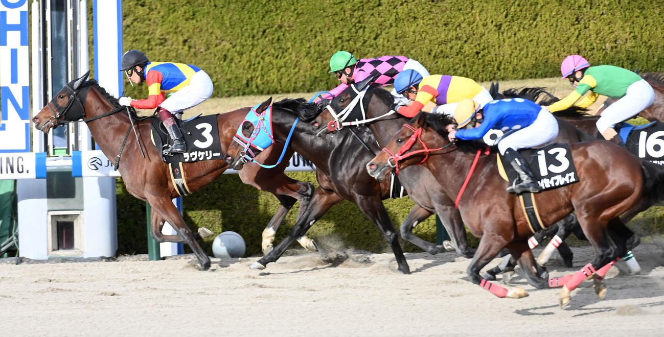 ゴール前、最内から差し切り高砂特別を制したラヴケリー。福永騎手は年間100勝を達成（撮影・前岡正明）