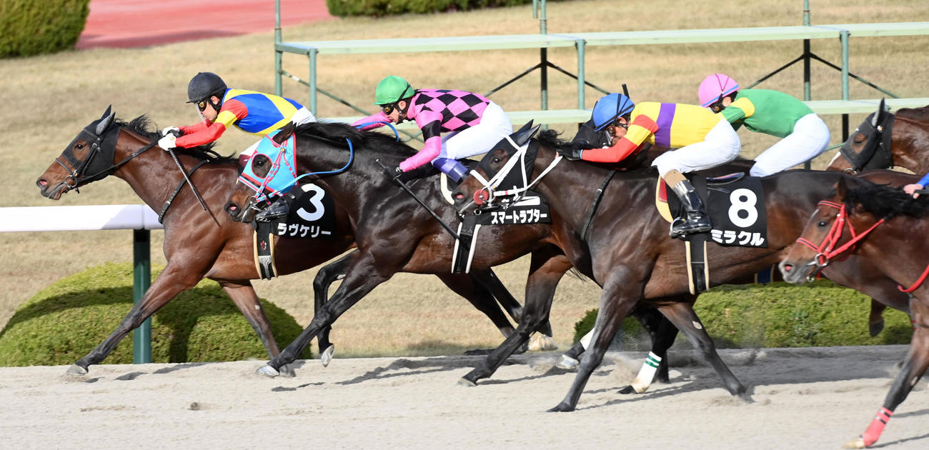 ゴール前、最内から差し切り高砂特別を制したラヴケリー。福永騎手は年間100勝を達成（撮影・前岡正明）