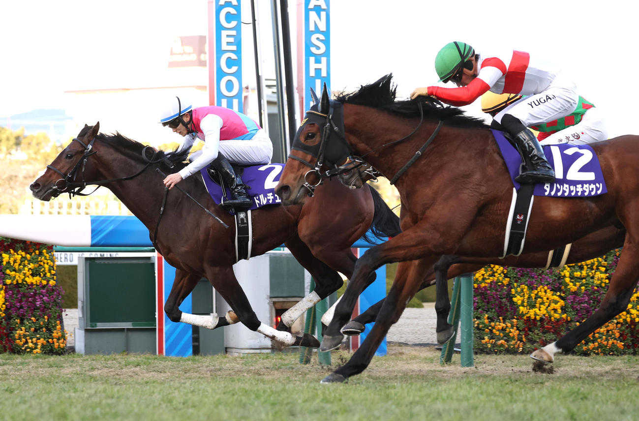 直線抜け出して無傷の3連勝で朝日杯FSを制したドルチェモア（左）（撮影・白石智彦）