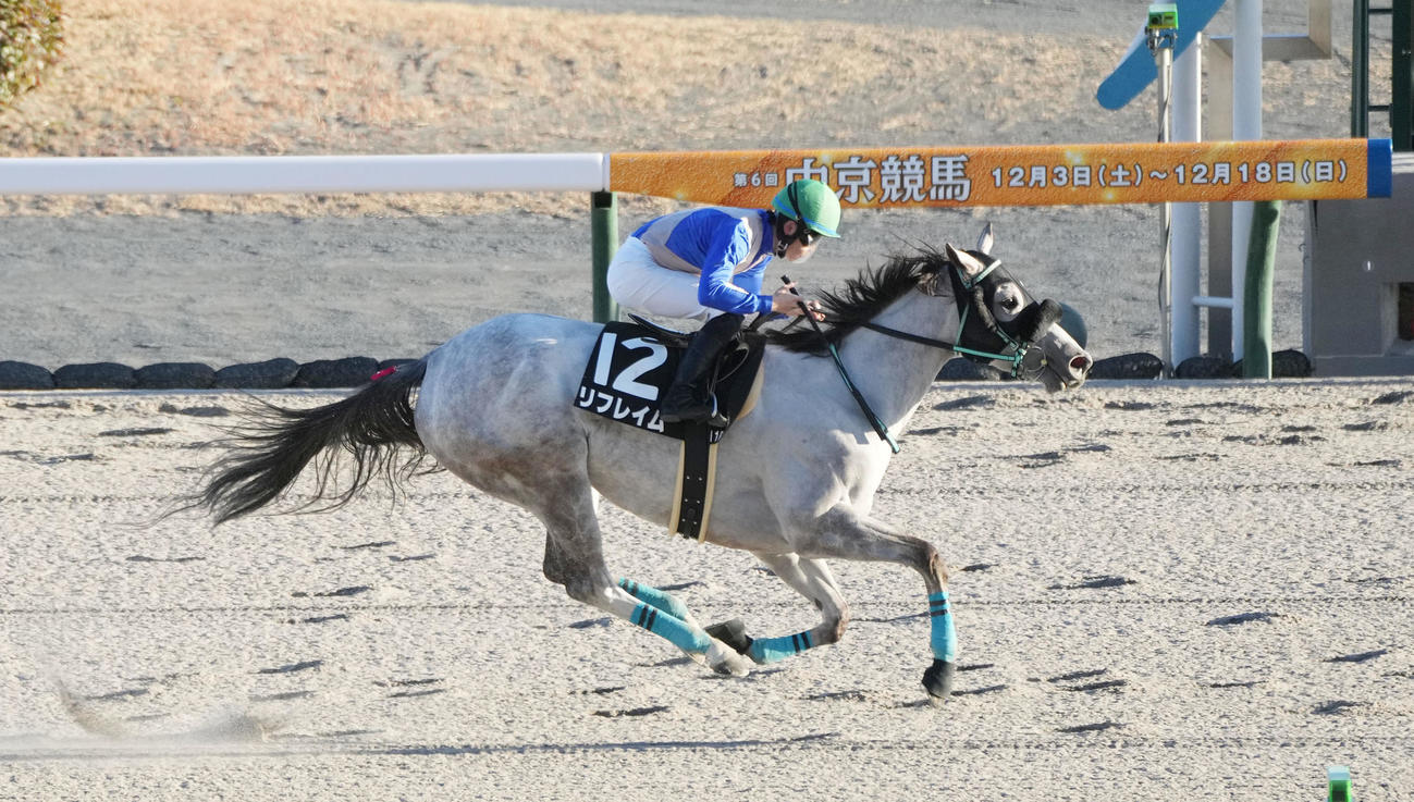 コールドムーンSを制したリフレイム（撮影・森本幸一）