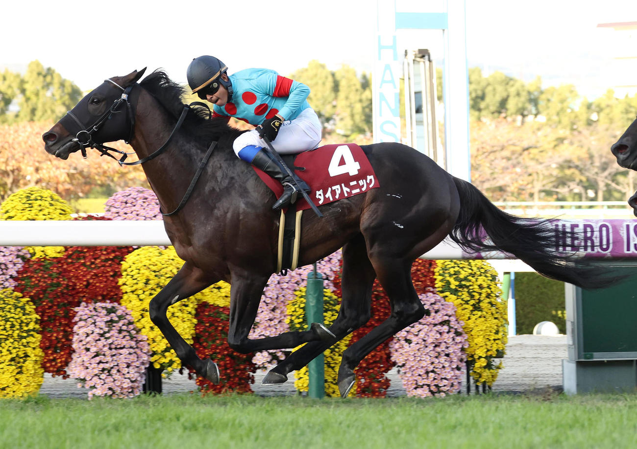 直線抜け出してスワンSを制したダイアトニック（2022年10月29日撮影）