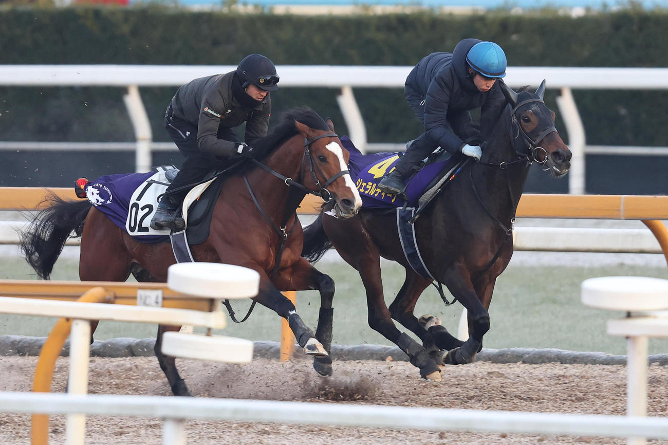 Cウッドをアルサトワ（左）との併せ馬で追い切るジェラルディーナ（撮影・白石智彦）