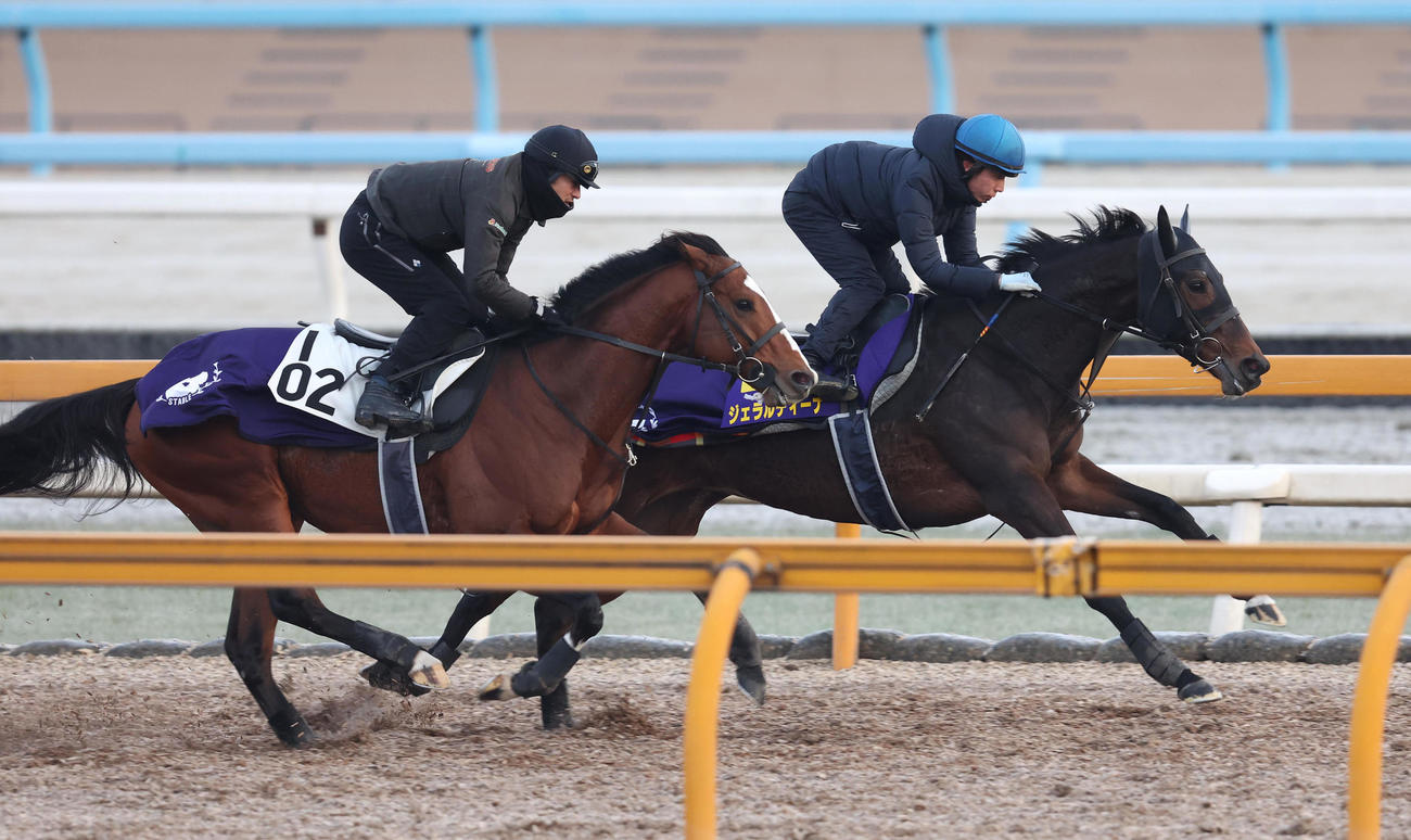 Cウッドをアルサトワ（左）との併せ馬で追い切るジェラルディーナ（撮影・白石智彦）