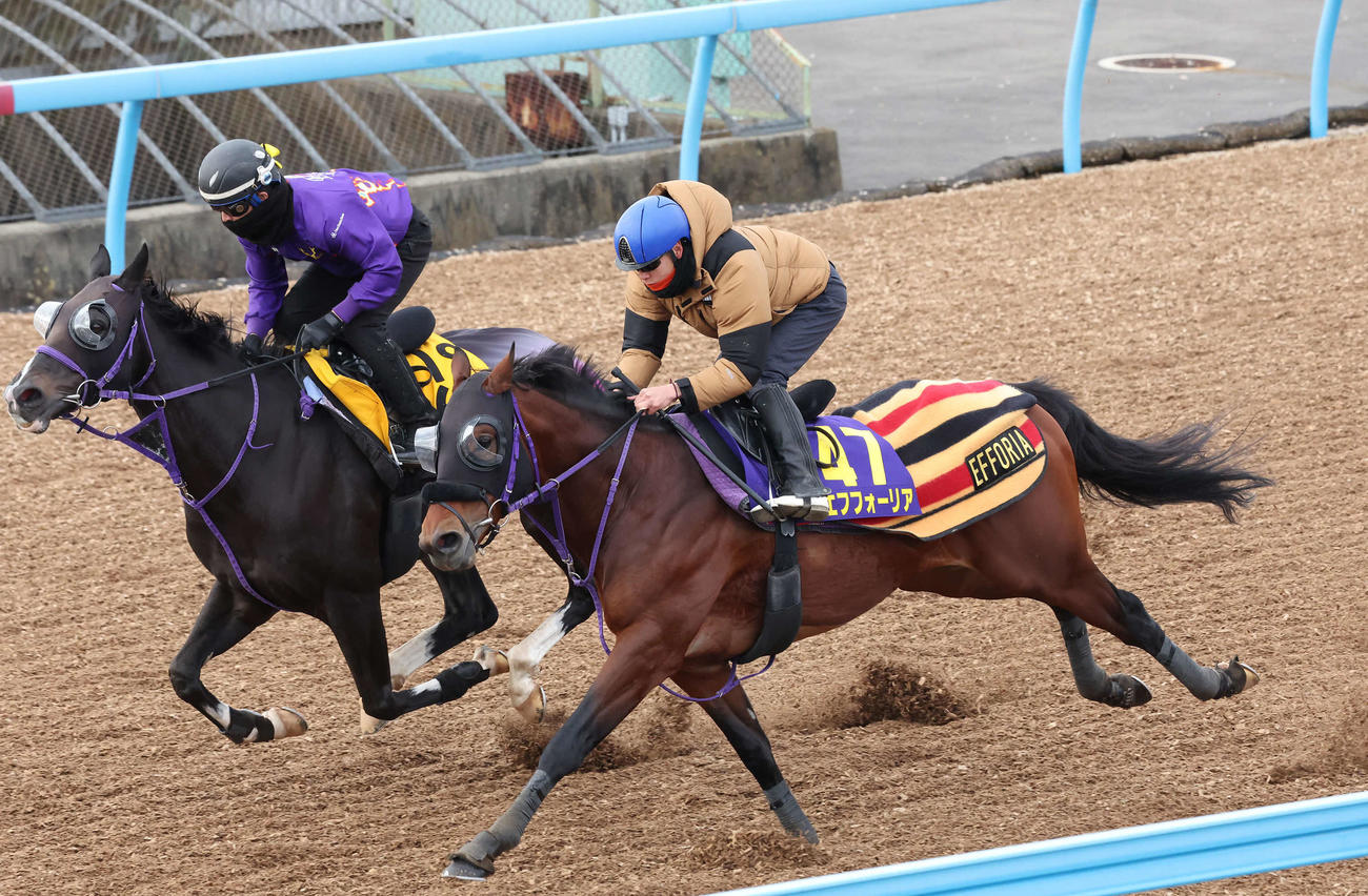 エフフォーリア（右）は横山武騎手を背に、後方から追い上げた内のルッジェーロと併入（撮影・丹羽敏通）